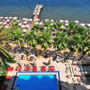 2* Hotel Palm